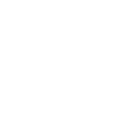 VUZI logo